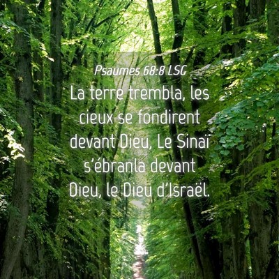 Picture 04 - Psaumes 68:8 LSG - La terre trembla, les cieux se fondirent devant - Bible Verse Picture