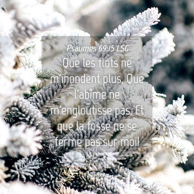 Picture 04 - Psaumes 69:15 LSG - Que les flots ne m'inondent plus, Que l'abîme ne - Bible Verse Picture