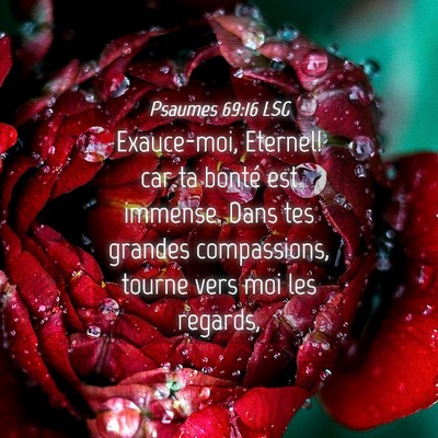Picture 04 - Psaumes 69:16 LSG - Exauce-moi, Eternel! car ta bonté est immense. - Bible Verse Picture
