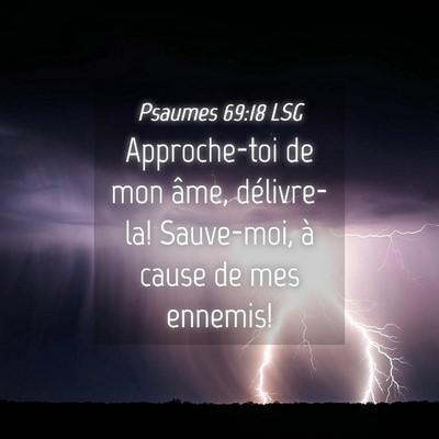 Picture 04 - Psaumes 69:18 LSG - Approche-toi de mon âme, délivre-la! Sauve-moi, - Bible Verse Picture