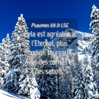 Picture 04 - Psaumes 69:31 LSG - Cela est agréable à l'Eternel, plus qu'un - Bible Verse Picture
