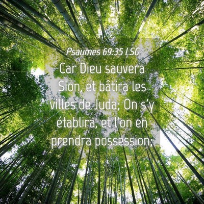 Picture 04 - Psaumes 69:35 LSG - Car Dieu sauvera Sion, et bâtira les villes de - Bible Verse Picture