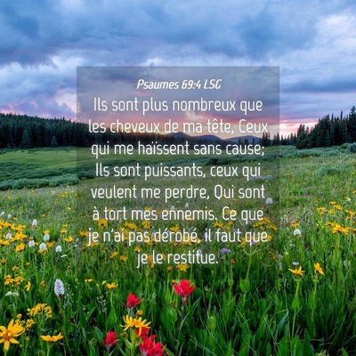 Picture 04 - Psaumes 69:4 LSG - Ils sont plus nombreux que les cheveux de ma - Bible Verse Picture