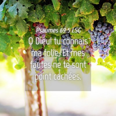 Picture 04 - Psaumes 69:5 LSG - O Dieu! tu connais ma folie, Et mes fautes ne te - Bible Verse Picture