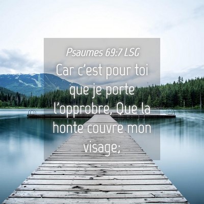 Picture 04 - Psaumes 69:7 LSG - Car c'est pour toi que je porte l'opprobre, Que - Bible Verse Picture