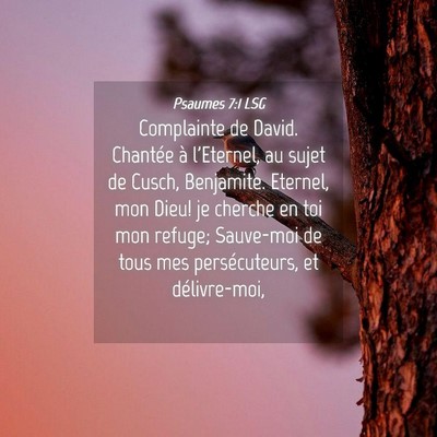 Picture 04 - Psaumes 7:1 LSG - Complainte de David. Chantée à l'Eternel, au - Bible Verse Picture