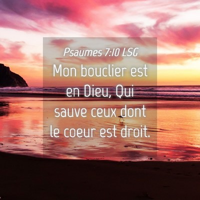 Picture 04 - Psaumes 7:10 LSG - Mon bouclier est en Dieu, Qui sauve ceux dont le - Bible Verse Picture