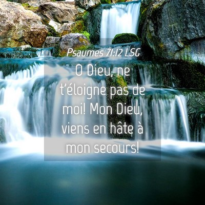 Picture 04 - Psaumes 71:12 LSG - O Dieu, ne t'éloigne pas de moi! Mon Dieu, viens - Bible Verse Picture