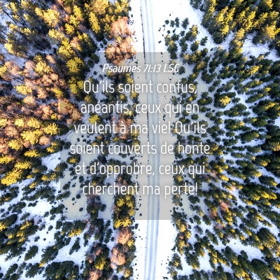 Picture 04 - Psaumes 71:13 LSG - Qu'ils soient confus, anéantis, ceux qui en - Bible Verse Picture