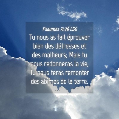Picture 04 - Psaumes 71:20 LSG - Tu nous as fait éprouver bien des détresses et - Bible Verse Picture