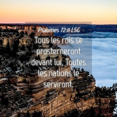 Picture 04 - Psaumes 72:11 LSG - Tous les rois se prosterneront devant lui, Toutes - Bible Verse Picture