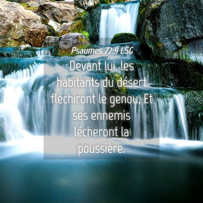 Picture 04 - Psaumes 72:9 LSG - Devant lui, les habitants du désert fléchiront - Bible Verse Picture