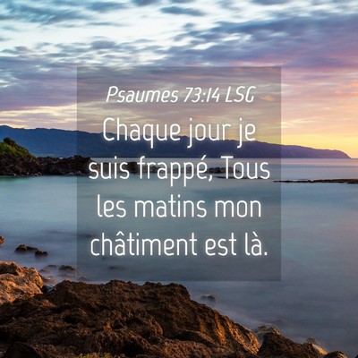 Picture 04 - Psaumes 73:14 LSG - Chaque jour je suis frappé, Tous les matins mon - Bible Verse Picture