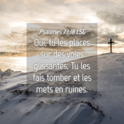 Picture 04 - Psaumes 73:18 LSG - Oui, tu les places sur des voies glissantes, Tu - Bible Verse Picture