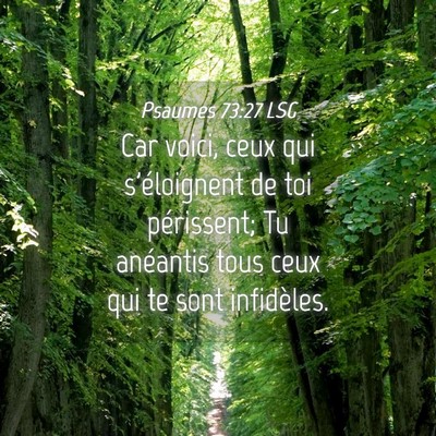 Picture 04 - Psaumes 73:27 LSG - Car voici, ceux qui s'éloignent de toi - Bible Verse Picture