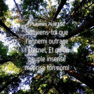 Picture 04 - Psaumes 74:18 LSG - Souviens-toi que l'ennemi outrage l'Eternel, Et - Bible Verse Picture