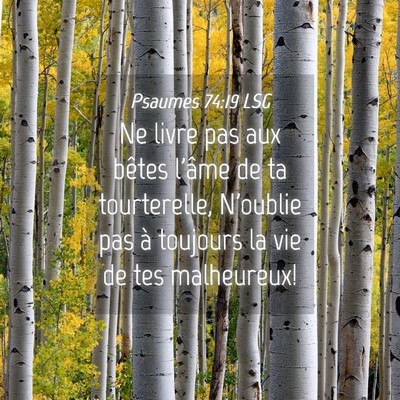 Picture 04 - Psaumes 74:19 LSG - Ne livre pas aux bêtes l'âme de ta tourterelle, - Bible Verse Picture