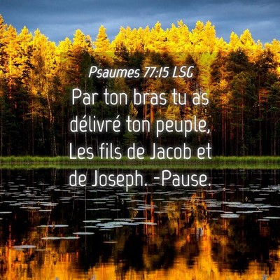 Picture 04 - Psaumes 77:15 LSG - Par ton bras tu as délivré ton peuple, Les fils - Bible Verse Picture