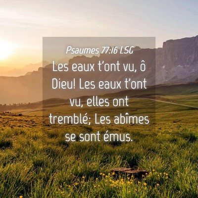 Picture 04 - Psaumes 77:16 LSG - Les eaux t'ont vu, ô Dieu! Les eaux t'ont vu, - Bible Verse Picture