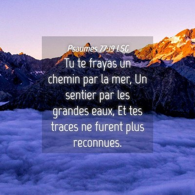 Picture 04 - Psaumes 77:19 LSG - Tu te frayas un chemin par la mer, Un sentier par - Bible Verse Picture