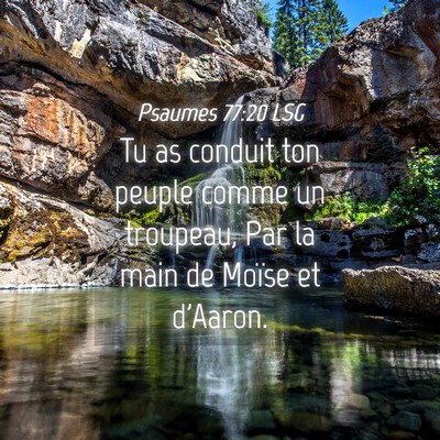 Picture 04 - Psaumes 77:20 LSG - Tu as conduit ton peuple comme un troupeau, Par - Bible Verse Picture