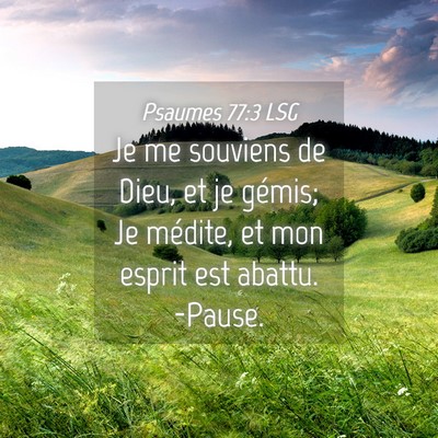 Picture 04 - Psaumes 77:3 LSG - Je me souviens de Dieu, et je gémis; Je médite, - Bible Verse Picture