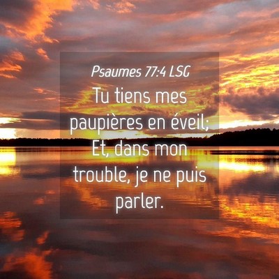 Picture 04 - Psaumes 77:4 LSG - Tu tiens mes paupières en éveil; Et, dans mon - Bible Verse Picture