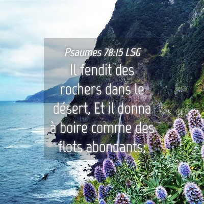 Picture 04 - Psaumes 78:15 LSG - Il fendit des rochers dans le désert, Et il - Bible Verse Picture