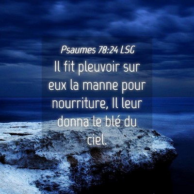 Picture 04 - Psaumes 78:24 LSG - Il fit pleuvoir sur eux la manne pour nourriture, - Bible Verse Picture