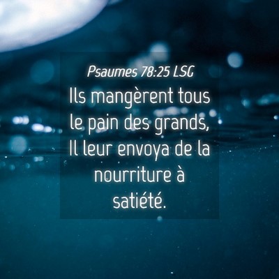 Picture 04 - Psaumes 78:25 LSG - Ils mangèrent tous le pain des grands, Il leur - Bible Verse Picture