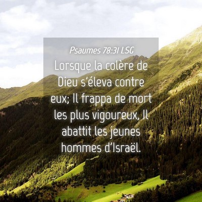 Picture 04 - Psaumes 78:31 LSG - Lorsque la colère de Dieu s'éleva contre eux; - Bible Verse Picture