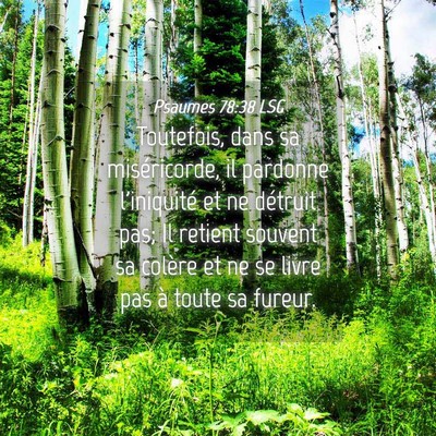 Picture 04 - Psaumes 78:38 LSG - Toutefois, dans sa miséricorde, il pardonne - Bible Verse Picture