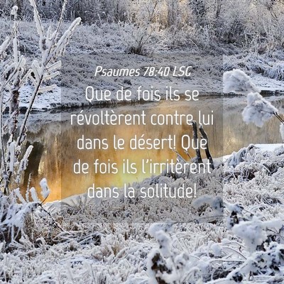 Picture 04 - Psaumes 78:40 LSG - Que de fois ils se révoltèrent contre lui dans - Bible Verse Picture