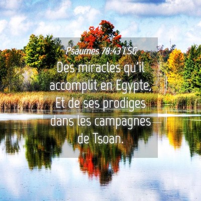Picture 04 - Psaumes 78:43 LSG - Des miracles qu'il accomplit en Egypte, Et de ses - Bible Verse Picture