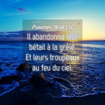 Picture 04 - Psaumes 78:48 LSG - Il abandonna leur bétail à la grêle, Et leurs - Bible Verse Picture