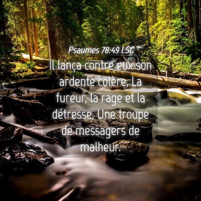 Picture 04 - Psaumes 78:49 LSG - Il lança contre eux son ardente colère, La - Bible Verse Picture