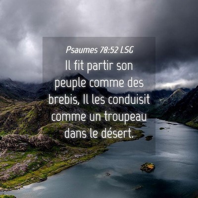 Picture 04 - Psaumes 78:52 LSG - Il fit partir son peuple comme des brebis, Il les - Bible Verse Picture