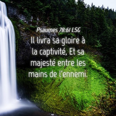 Picture 04 - Psaumes 78:61 LSG - Il livra sa gloire à la captivité, Et sa - Bible Verse Picture