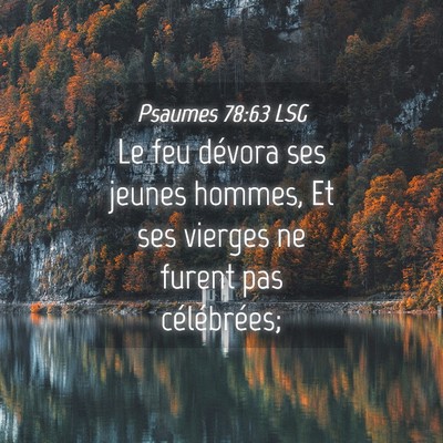Picture 04 - Psaumes 78:63 LSG - Le feu dévora ses jeunes hommes, Et ses vierges - Bible Verse Picture
