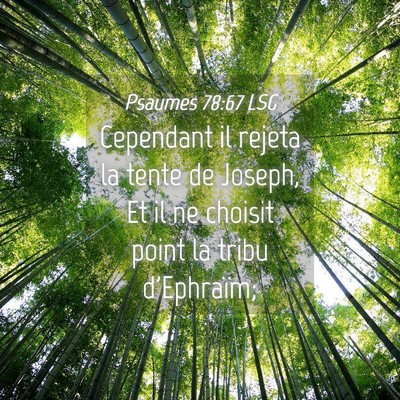 Picture 04 - Psaumes 78:67 LSG - Cependant il rejeta la tente de Joseph, Et il ne - Bible Verse Picture