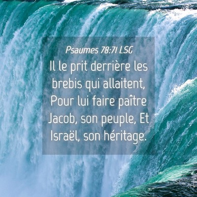 Picture 04 - Psaumes 78:71 LSG - Il le prit derrière les brebis qui allaitent, - Bible Verse Picture