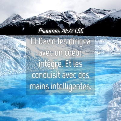 Picture 04 - Psaumes 78:72 LSG - Et David les dirigea avec un coeur intègre, Et - Bible Verse Picture