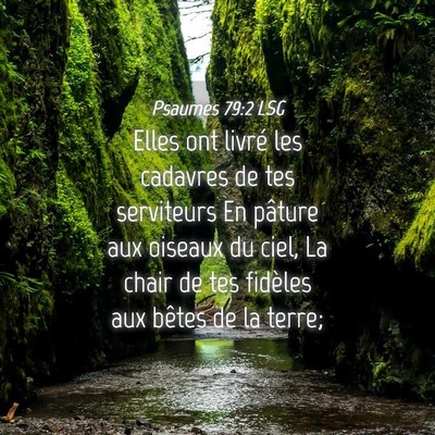 Picture 04 - Psaumes 79:2 LSG - Elles ont livré les cadavres de tes serviteurs - Bible Verse Picture