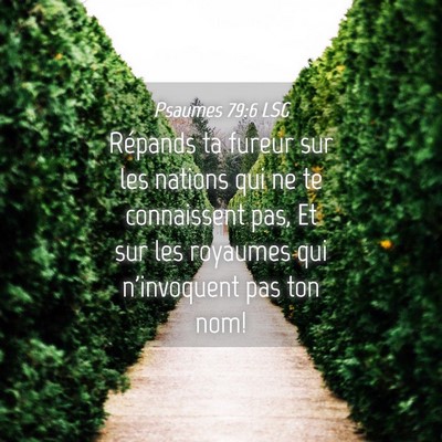 Picture 04 - Psaumes 79:6 LSG - Répands ta fureur sur les nations qui ne te - Bible Verse Picture