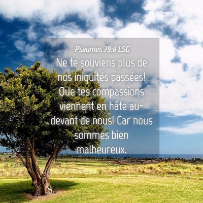 Picture 04 - Psaumes 79:8 LSG - Ne te souviens plus de nos iniquités passées! - Bible Verse Picture