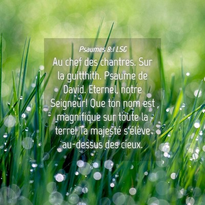 Picture 04 - Psaumes 8:1 LSG - Au chef des chantres. Sur la guitthith. Psaume de - Bible Verse Picture