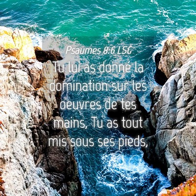 Picture 04 - Psaumes 8:6 LSG - Tu lui as donné la domination sur les oeuvres de - Bible Verse Picture
