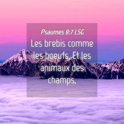 Picture 04 - Psaumes 8:7 LSG - Les brebis comme les boeufs, Et les animaux des - Bible Verse Picture