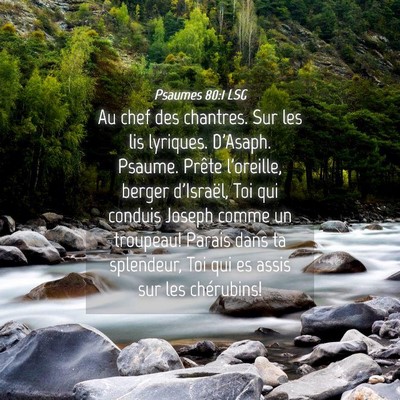 Picture 04 - Psaumes 80:1 LSG - Au chef des chantres. Sur les lis lyriques. - Bible Verse Picture