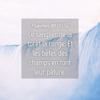 Picture 04 - Psaumes 80:13 LSG - Le sanglier de la forêt la ronge, Et les bêtes - Bible Verse Picture